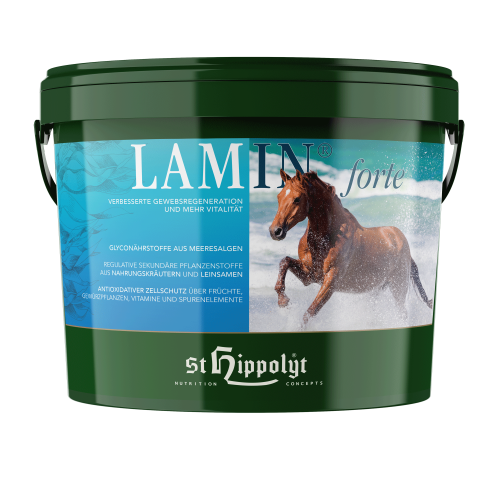 lamin-forte-suplemento-st-hippolyt.png