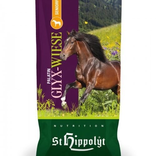 palatyn-glyx-wiese-senior-st-hippolyt.jpg