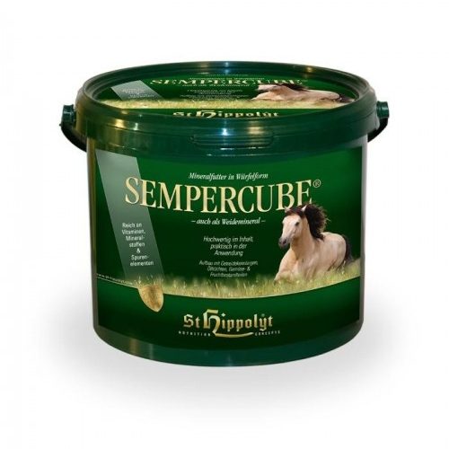 sempercube-minerales-st-hippolyt.jpg