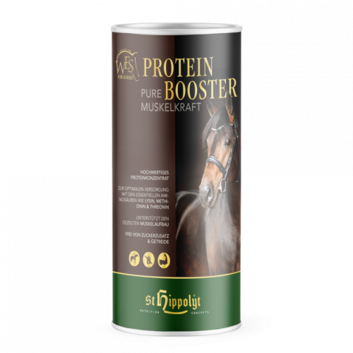 wes-protein-booster-_11